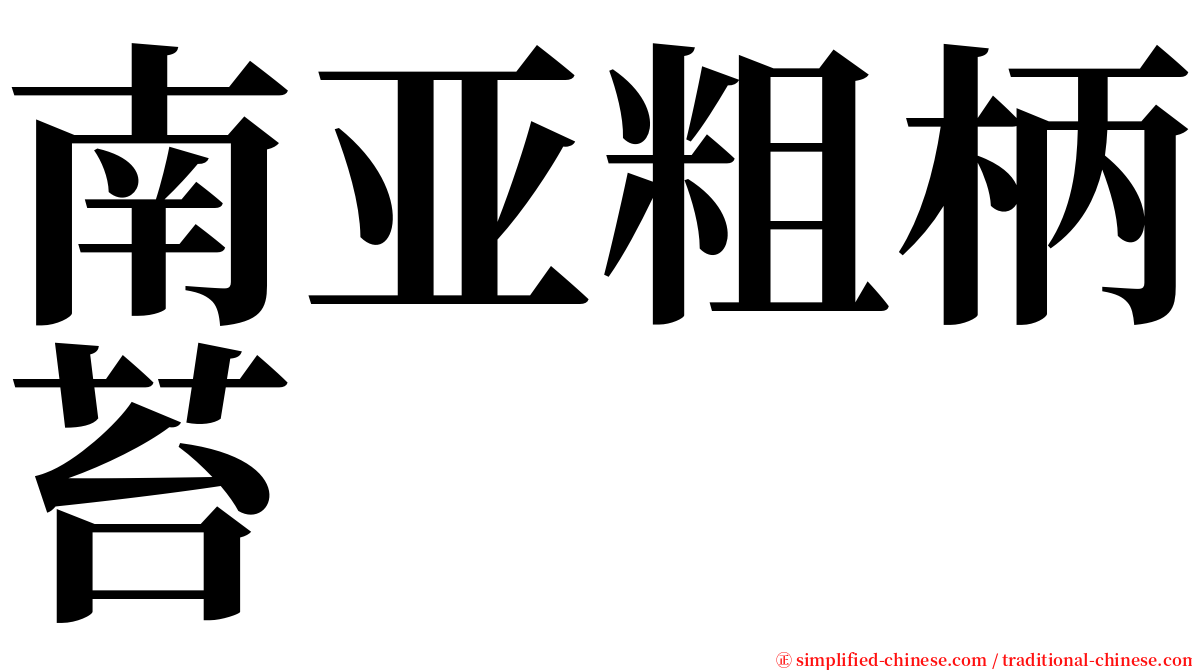 南亚粗柄苔 serif font
