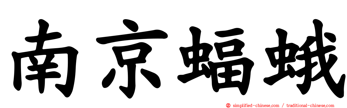 南京蝠蛾