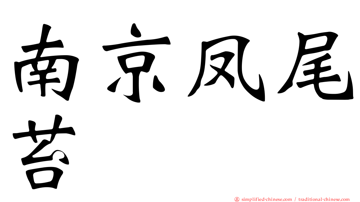 南京凤尾苔