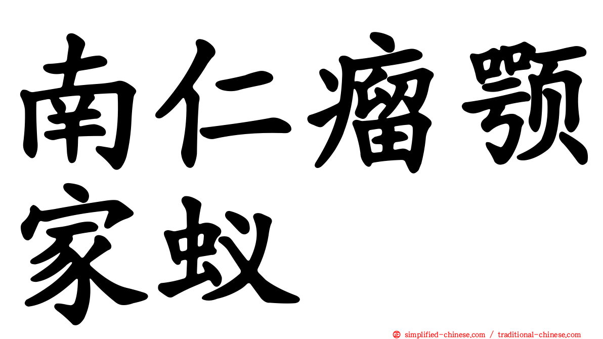 南仁瘤颚家蚁