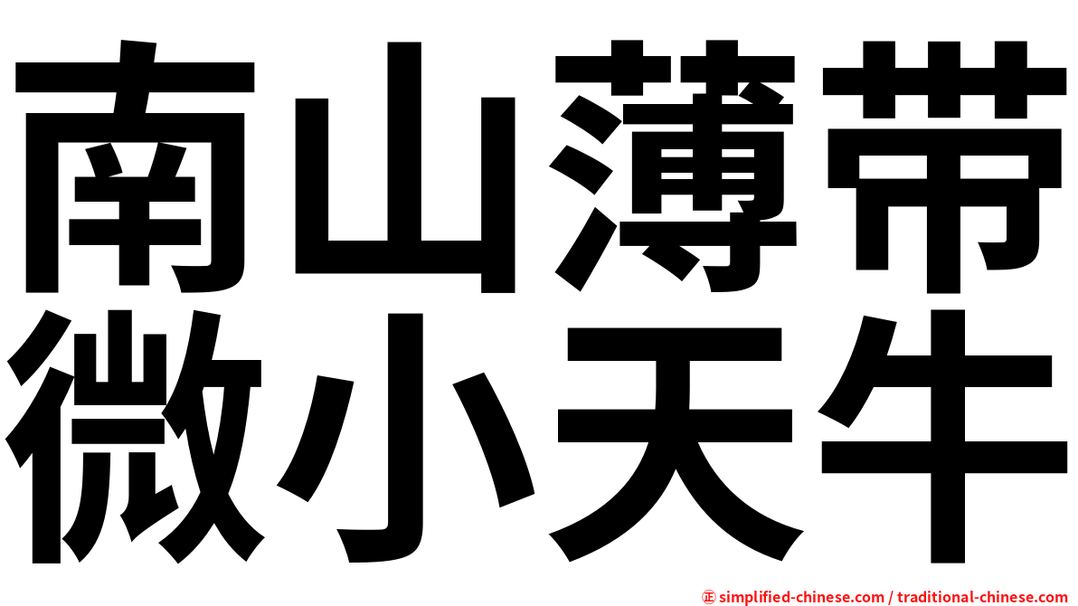 南山薄带微小天牛