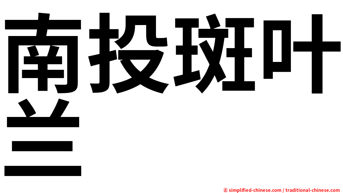 南投斑叶兰