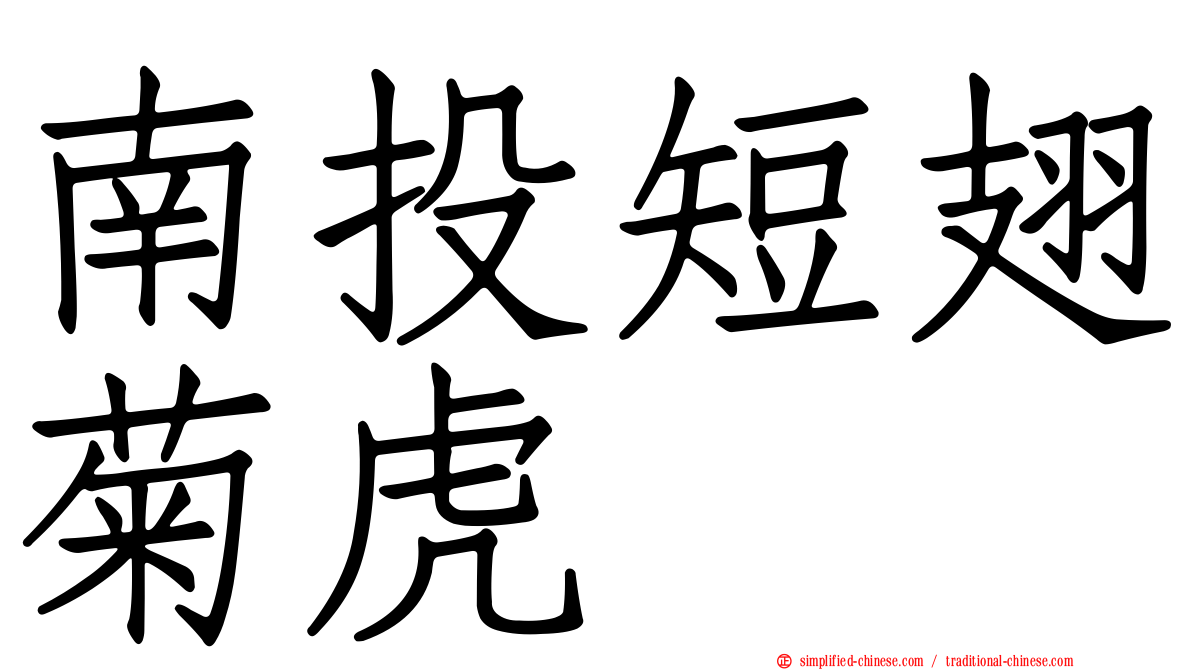 南投短翅菊虎
