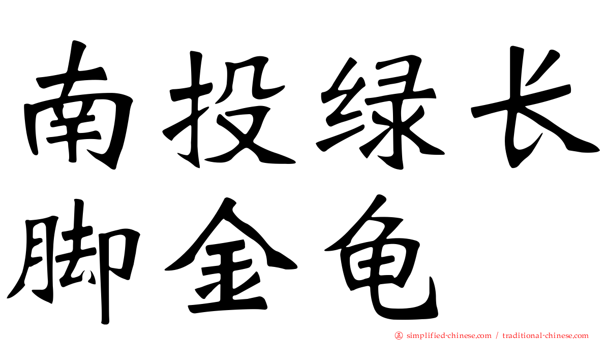 南投绿长脚金龟