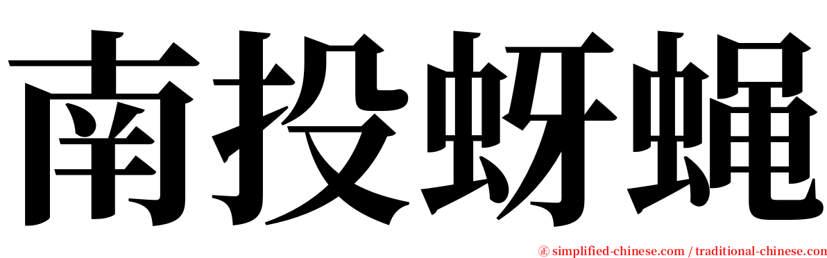 南投蚜蝇 serif font