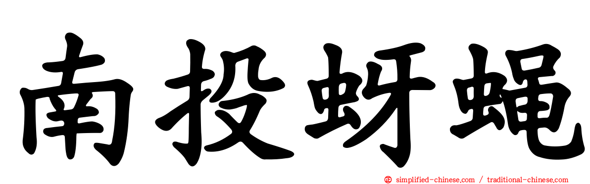 南投蚜蝇