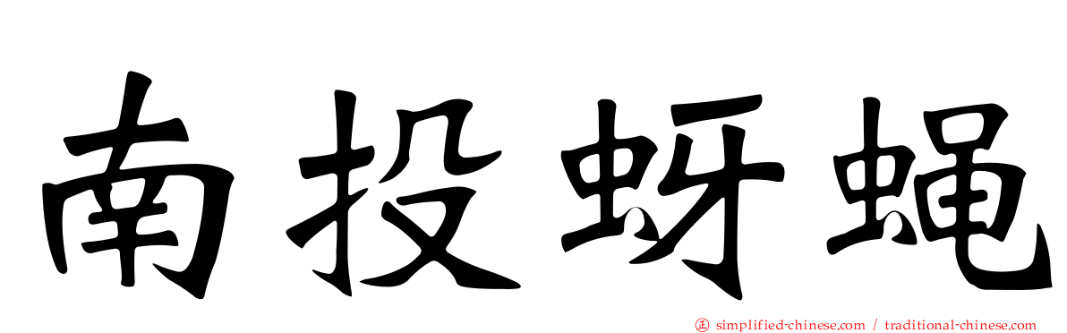南投蚜蝇