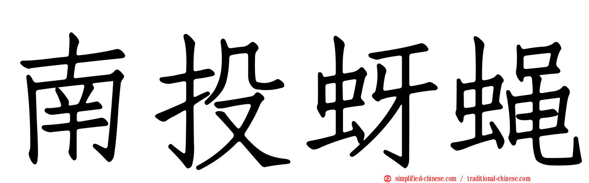 南投蚜蝇