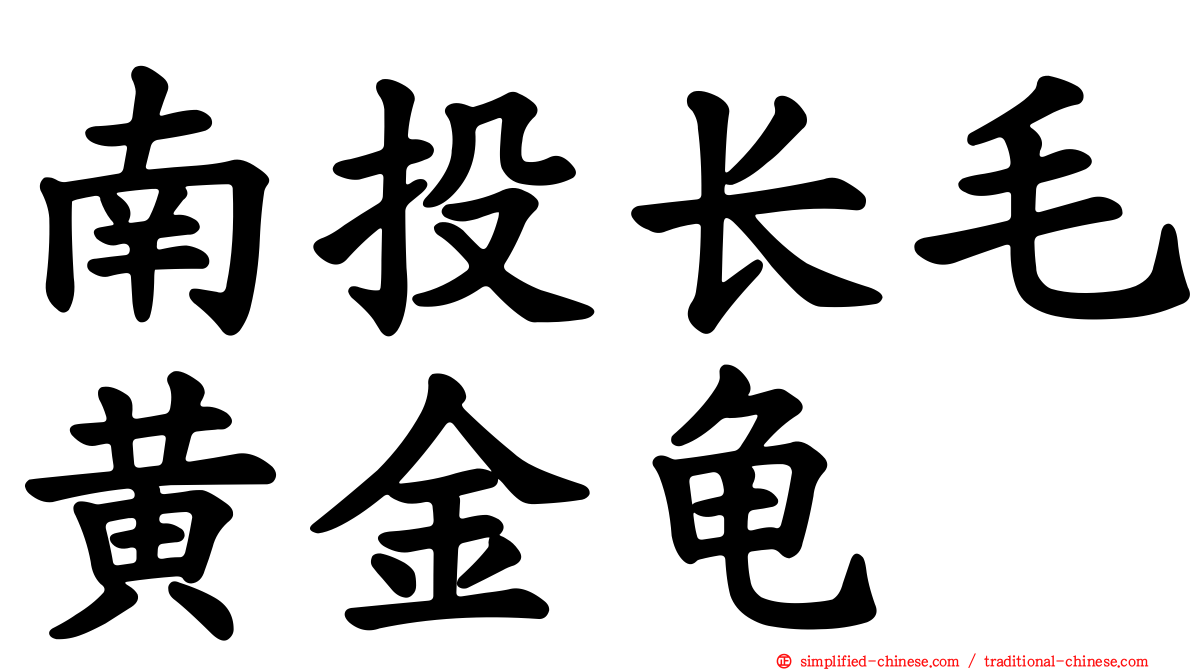 南投长毛黄金龟