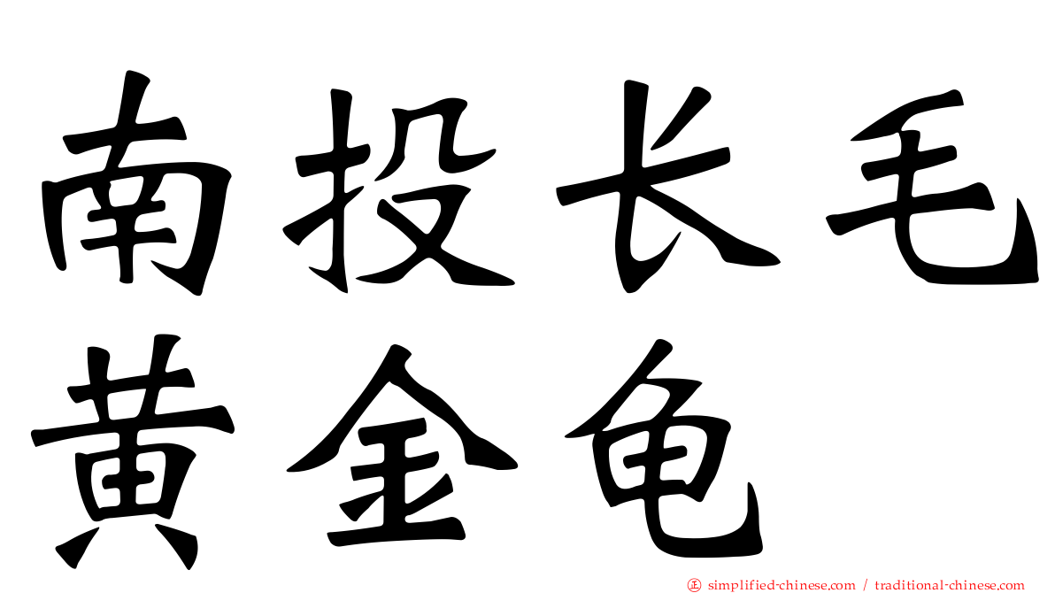 南投长毛黄金龟
