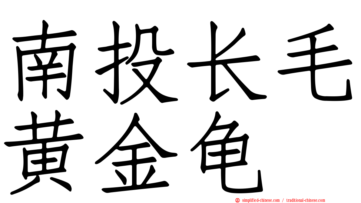 南投长毛黄金龟