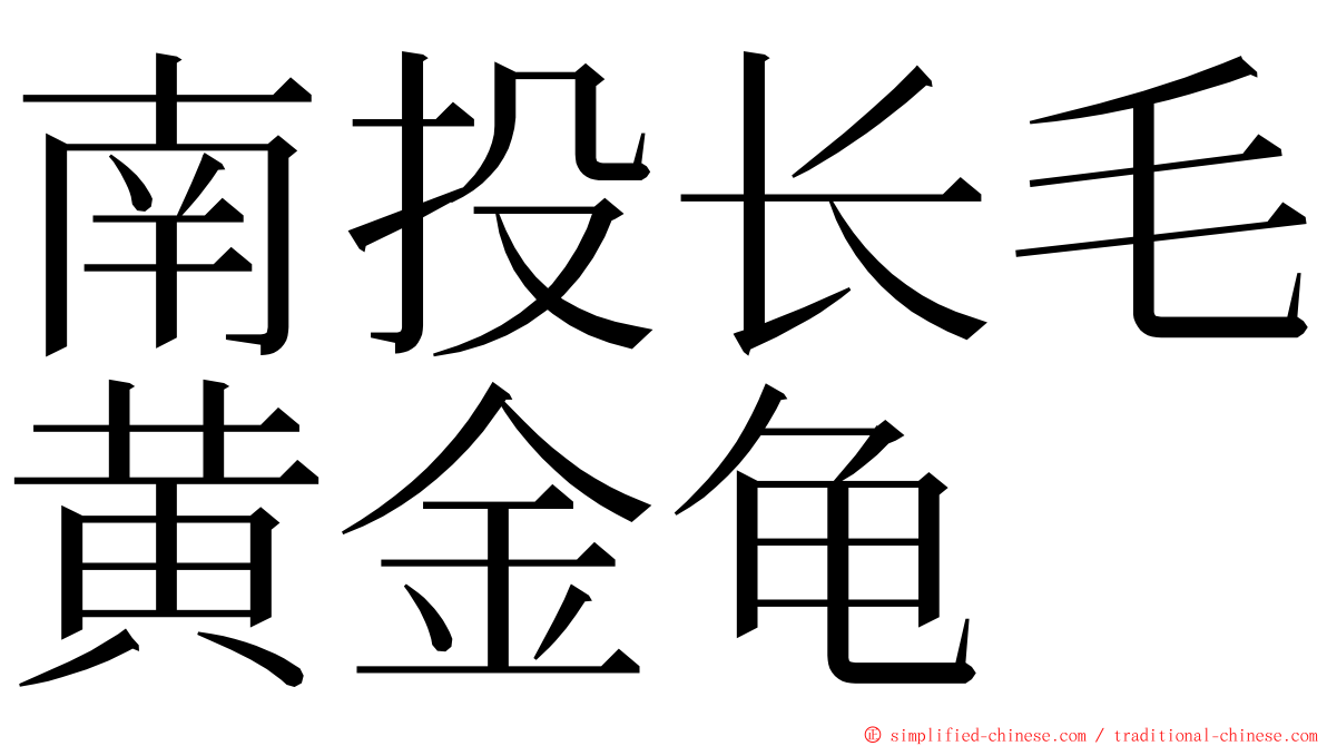 南投长毛黄金龟 ming font
