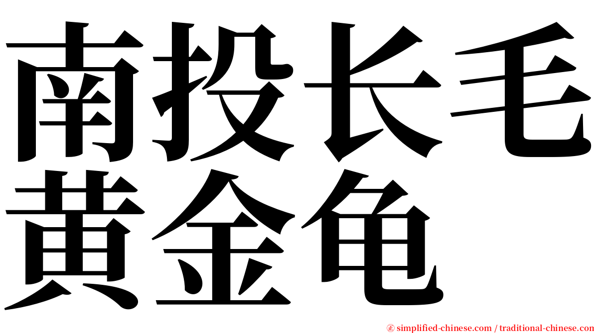 南投长毛黄金龟 serif font