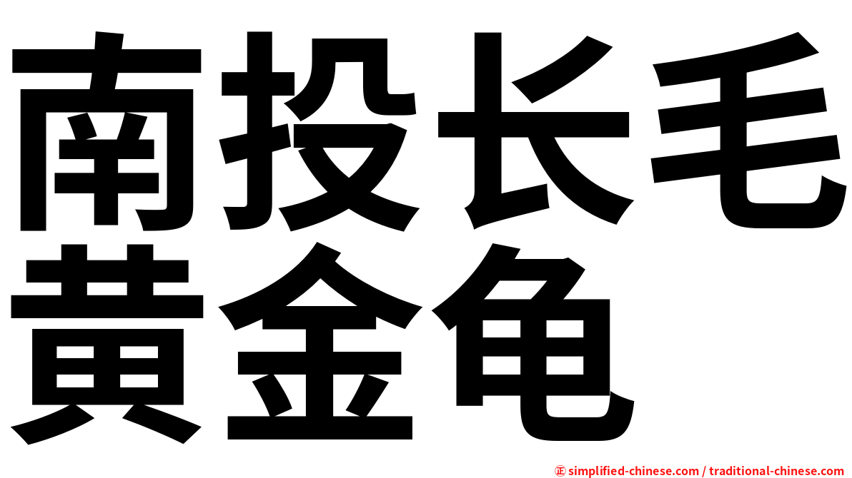 南投长毛黄金龟