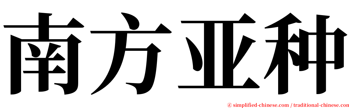 南方亚种 serif font