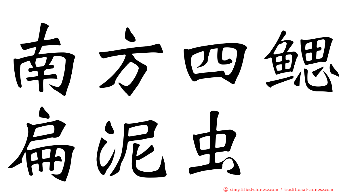 南方四鳃扁泥虫