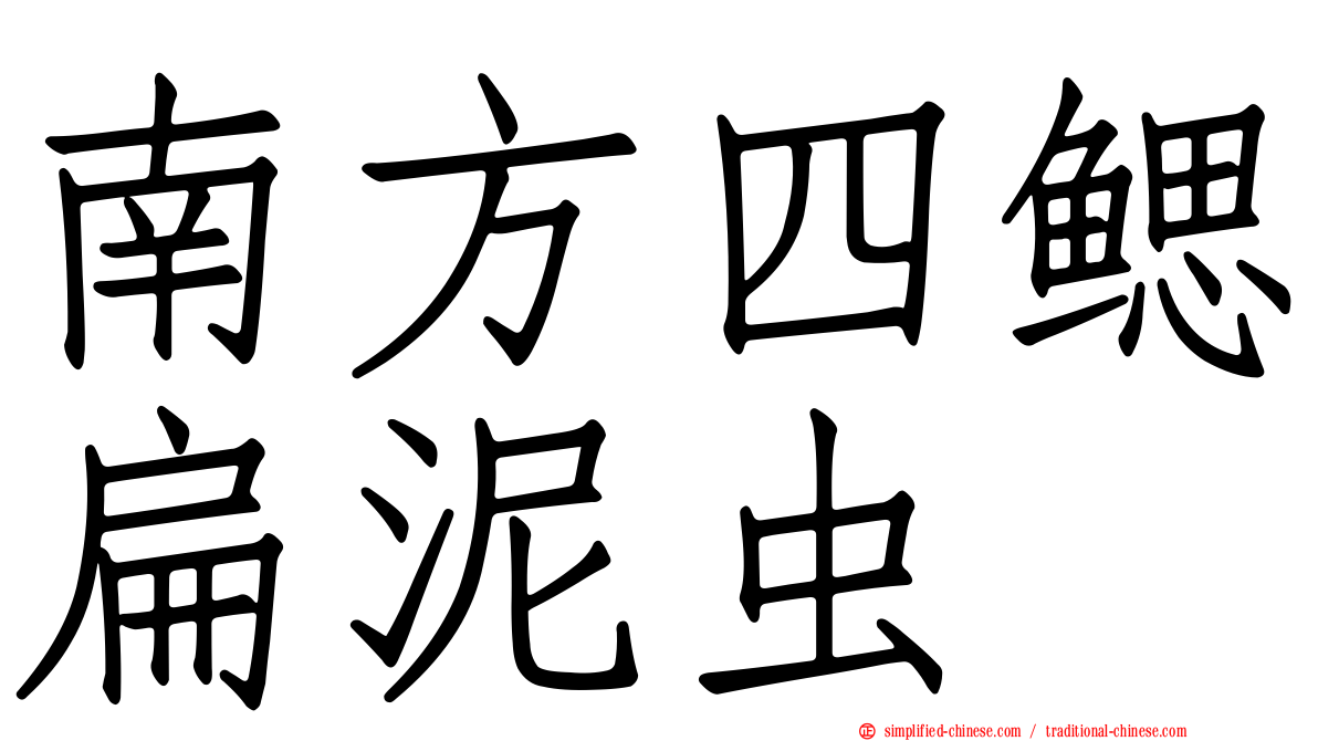 南方四鳃扁泥虫