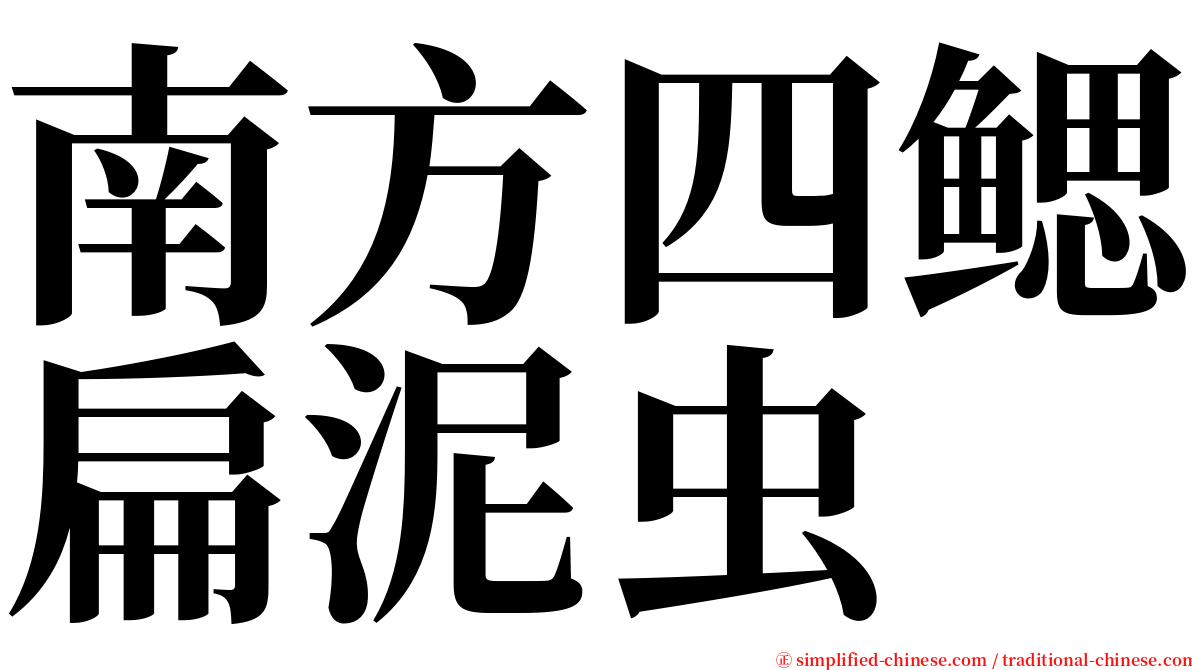 南方四鳃扁泥虫 serif font
