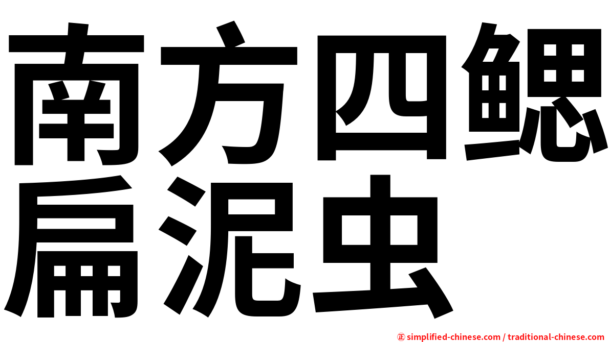 南方四鳃扁泥虫