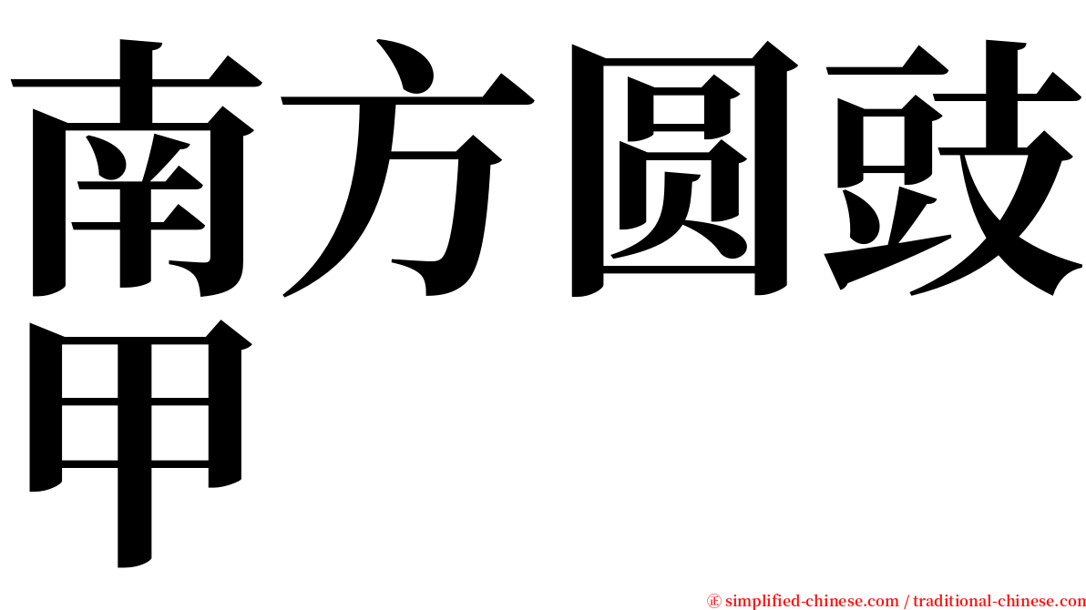 南方圆豉甲 serif font