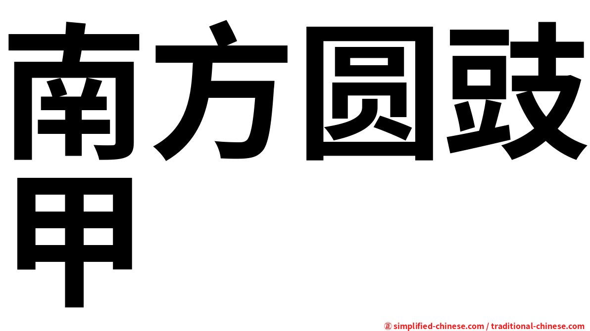 南方圆豉甲