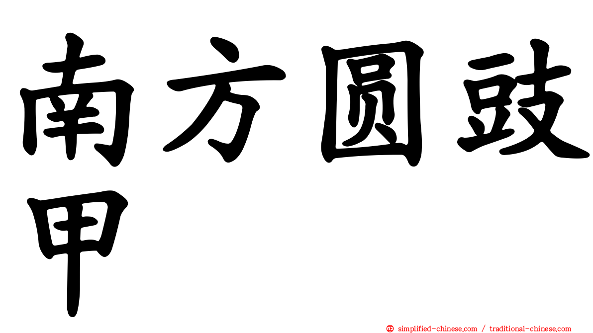 南方圆豉甲