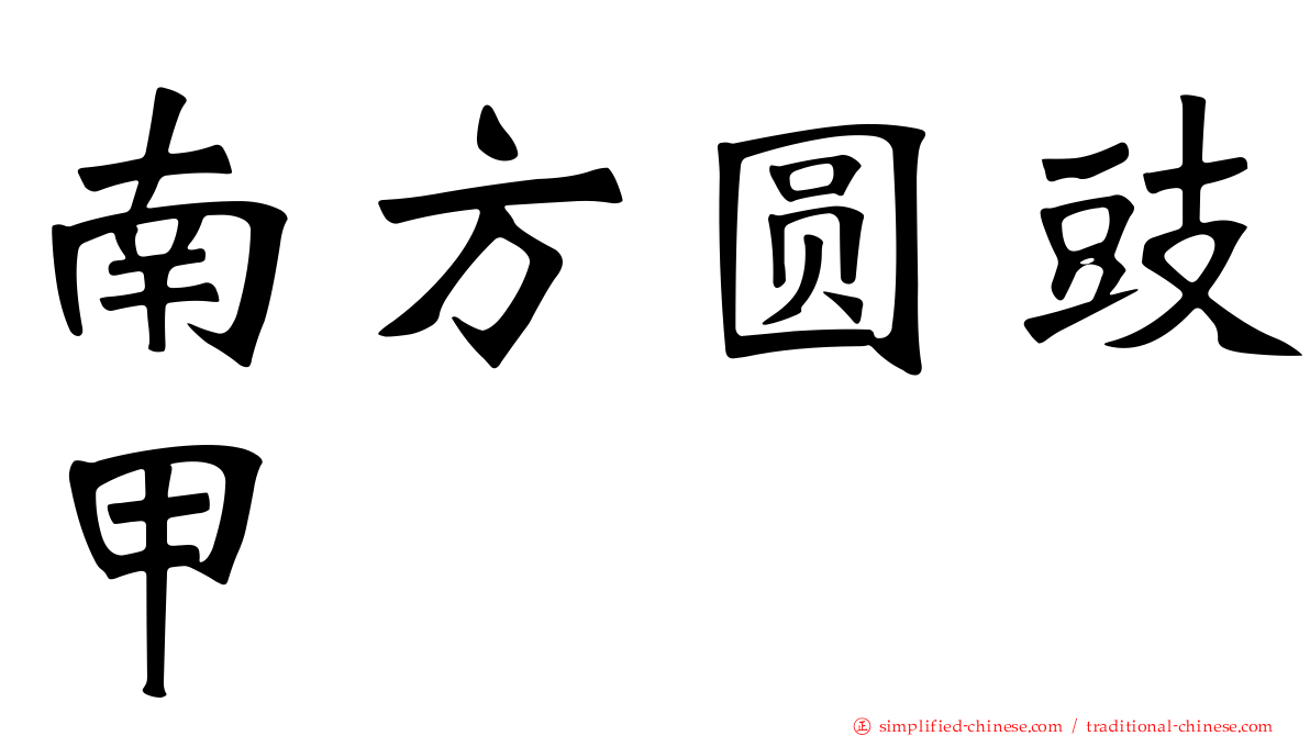 南方圆豉甲