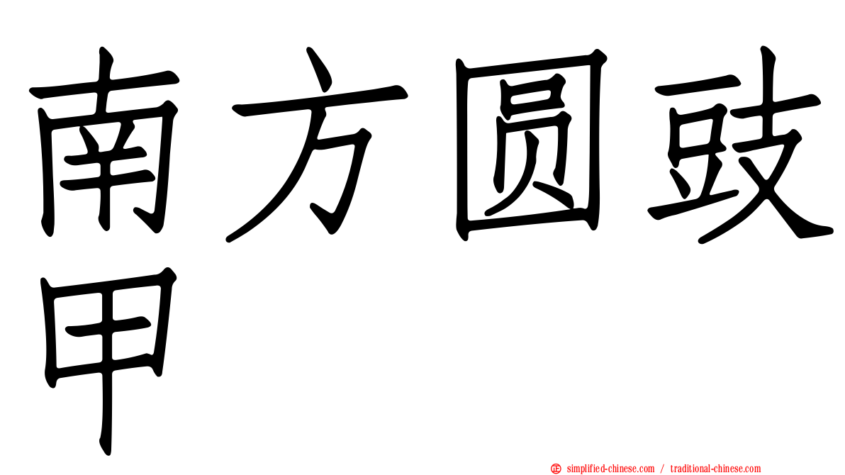 南方圆豉甲