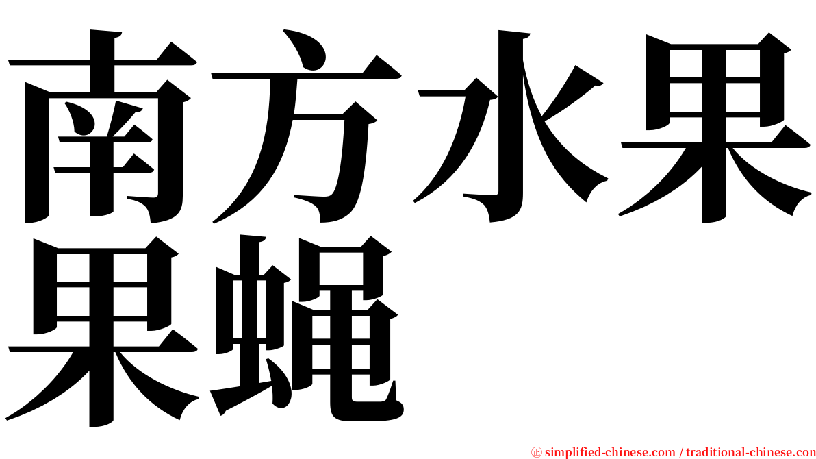 南方水果果蝇 serif font