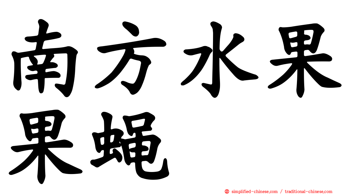 南方水果果蝇