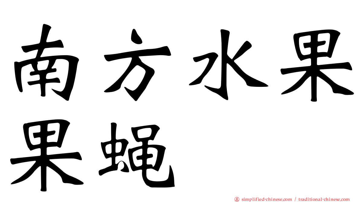 南方水果果蝇