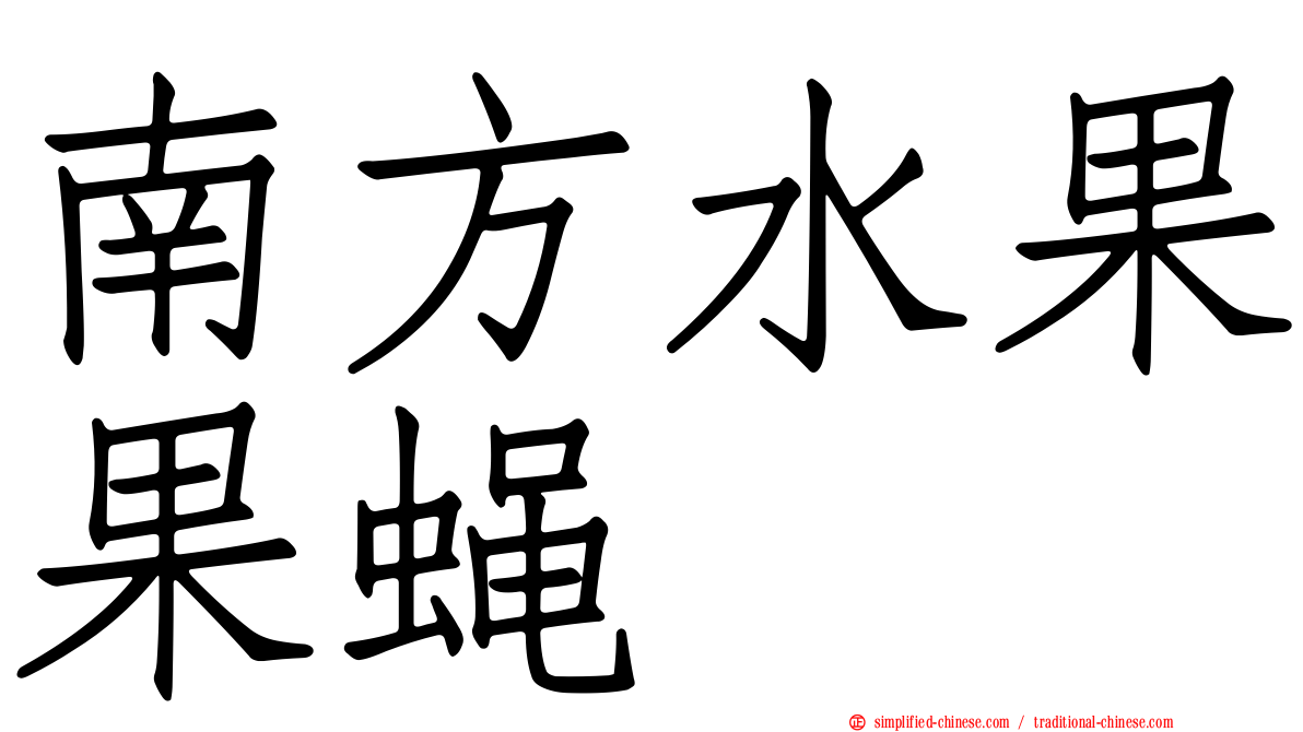 南方水果果蝇