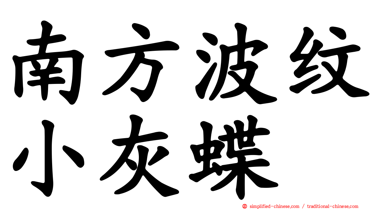 南方波纹小灰蝶