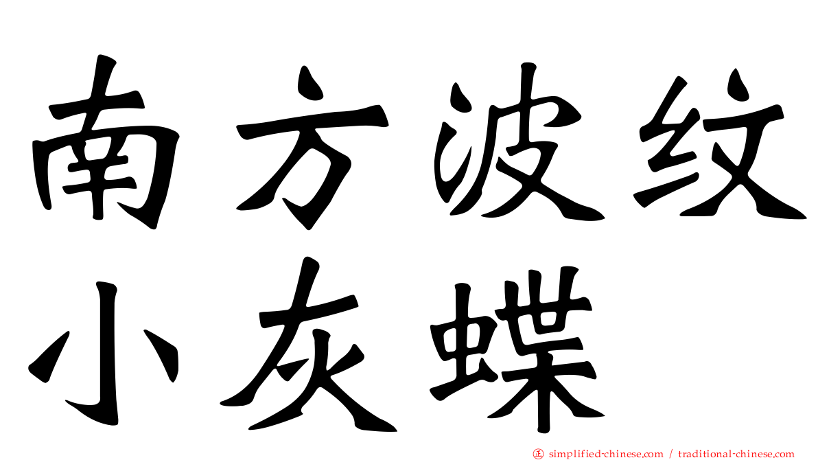 南方波纹小灰蝶