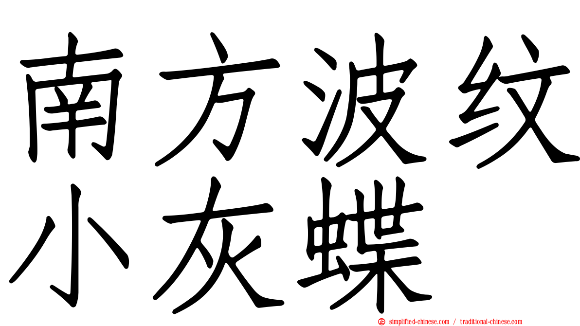 南方波纹小灰蝶