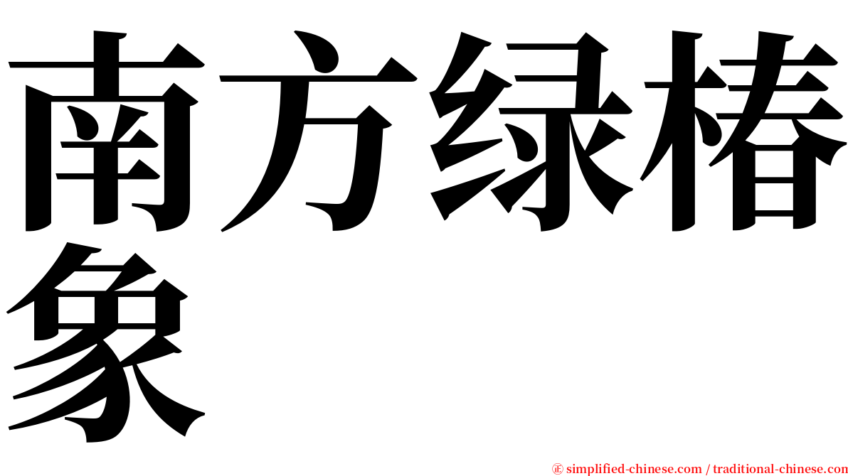 南方绿椿象 serif font