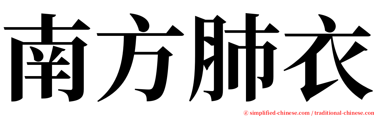 南方肺衣 serif font