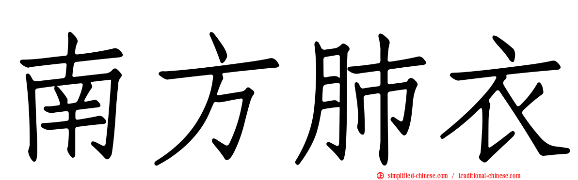 南方肺衣