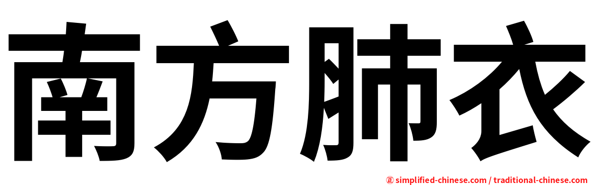 南方肺衣