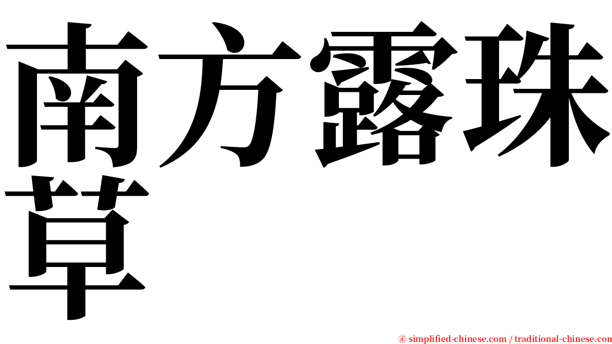 南方露珠草 serif font