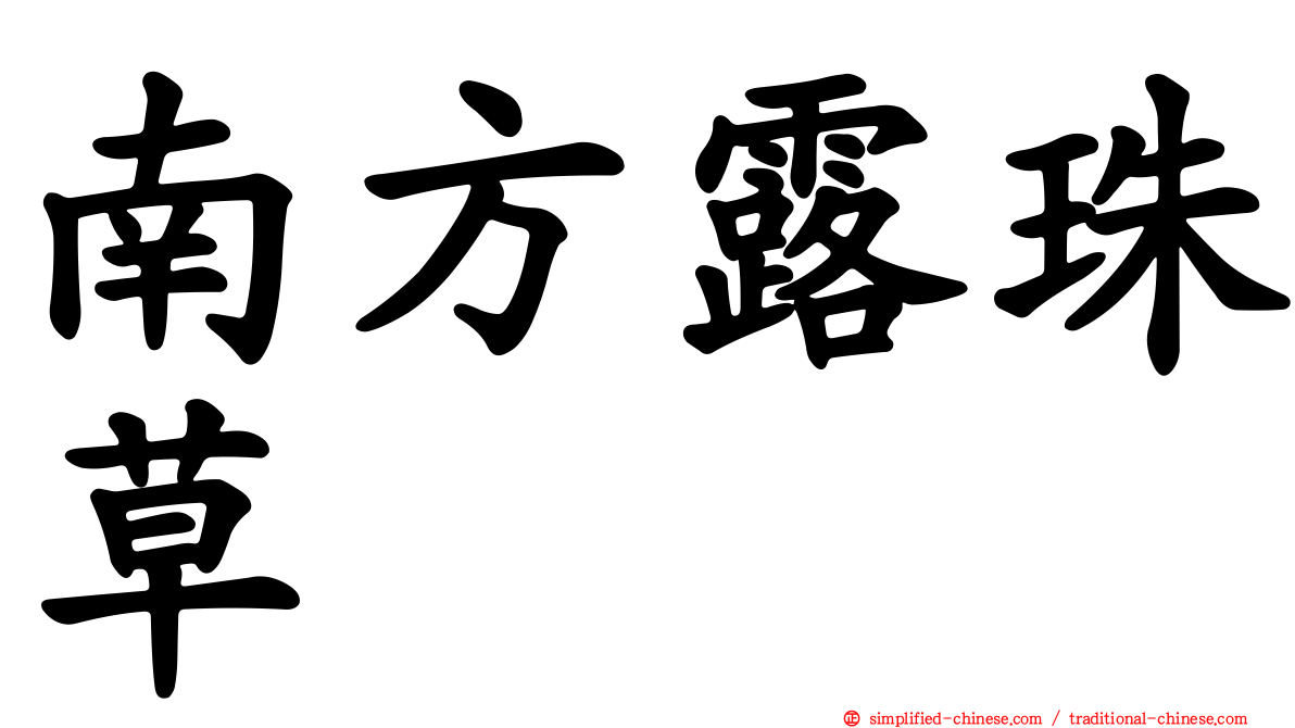 南方露珠草