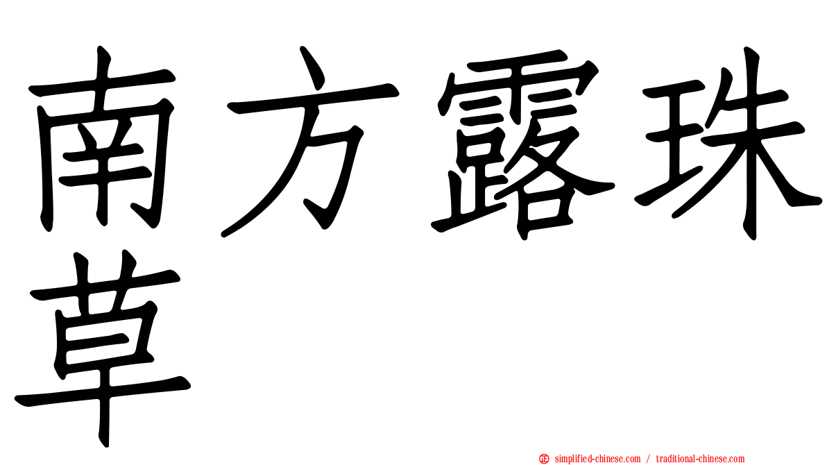 南方露珠草