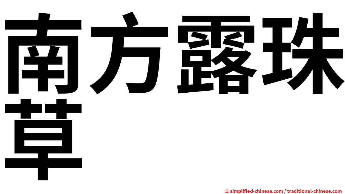 南方露珠草