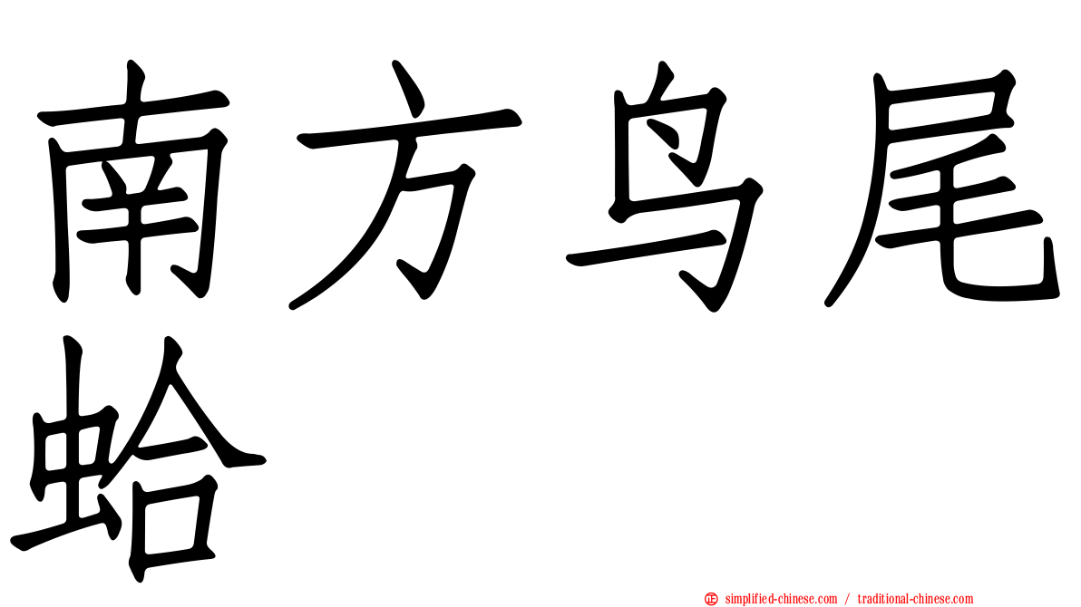 南方鸟尾蛤