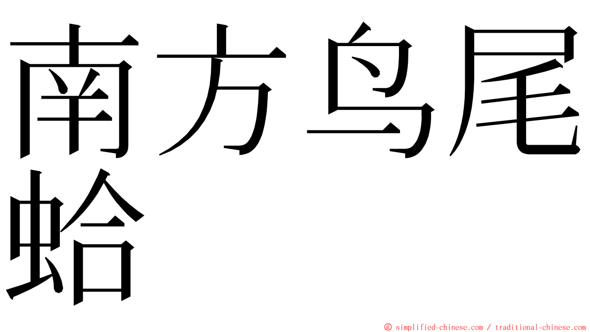 南方鸟尾蛤 ming font
