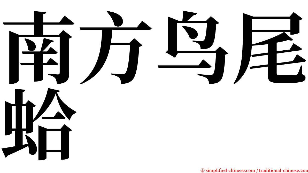 南方鸟尾蛤 serif font