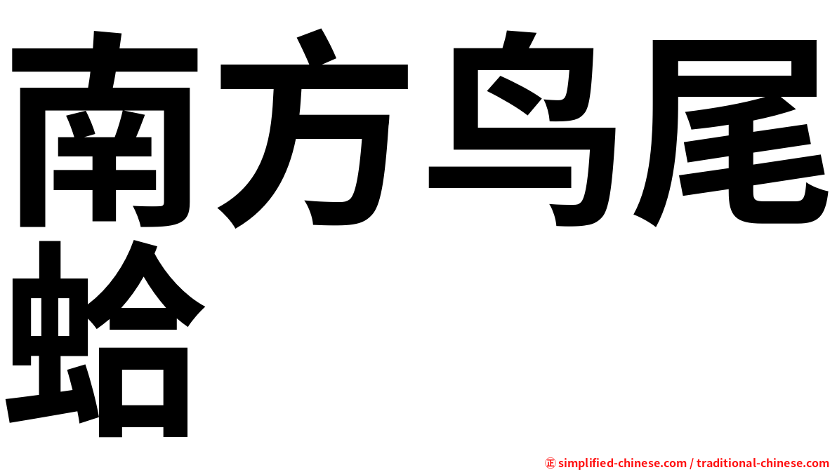 南方鸟尾蛤