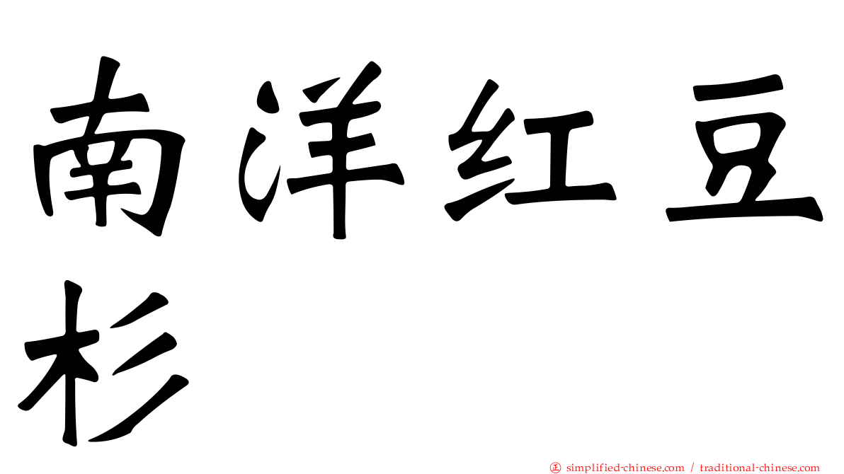 南洋红豆杉