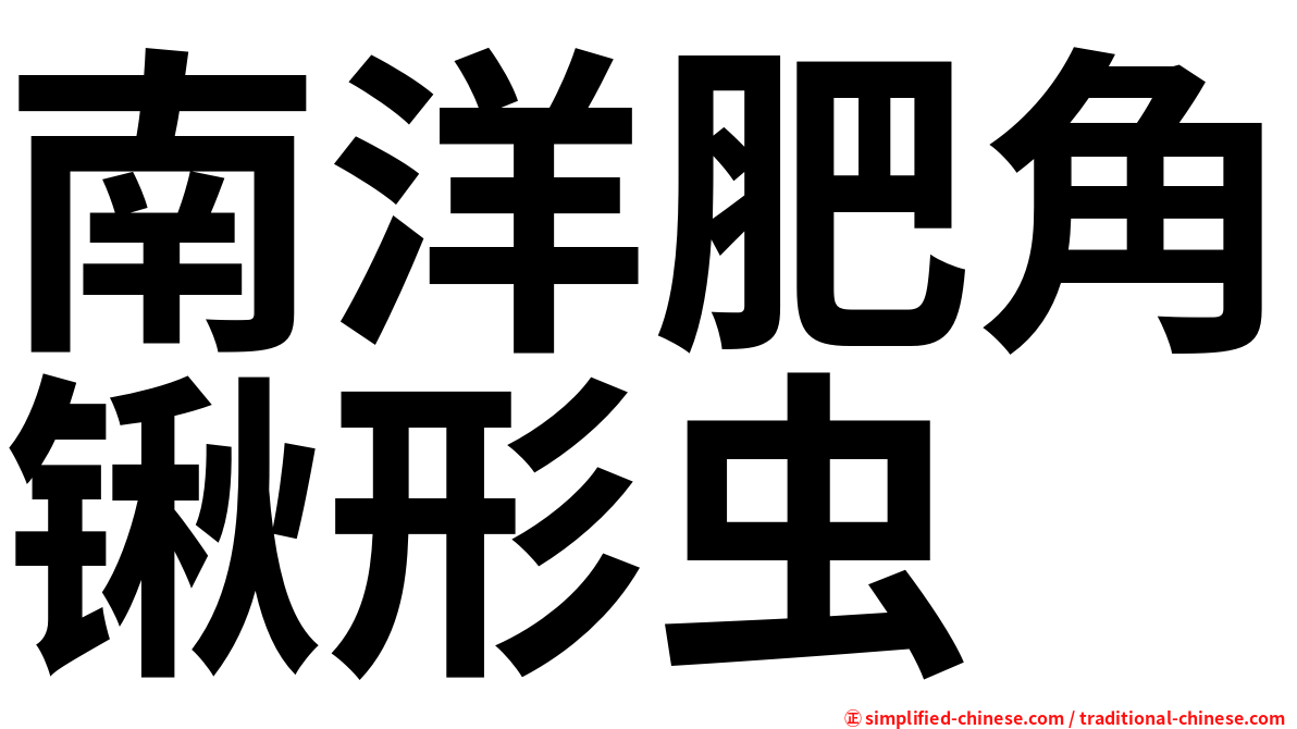 南洋肥角锹形虫