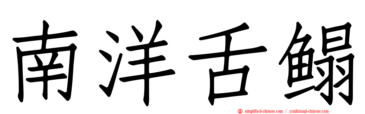 南洋舌鳎